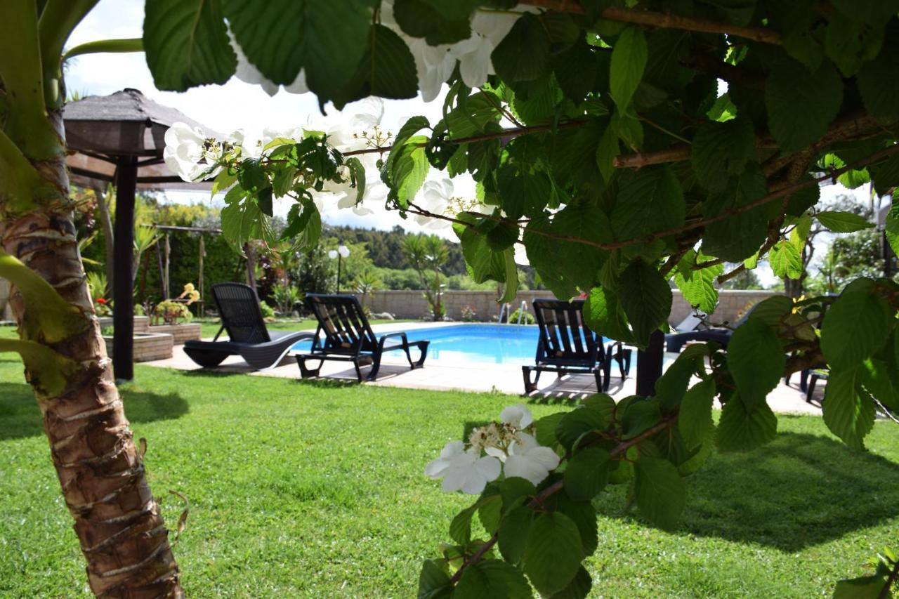 Alagoas4Family - Country House Arouca Eksteriør bilde